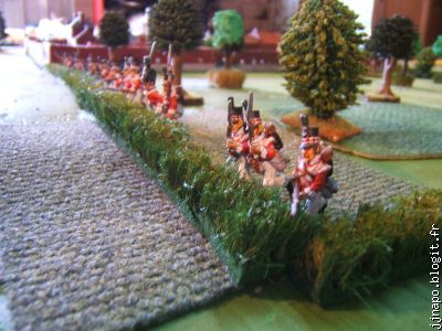 Les légers anglais (ici de l'écossais, mais bon) défendent le verger
