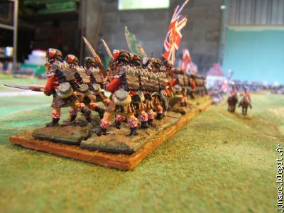 L'armée anglaise se dispose en ligne de défense ( Wargames Foundry)