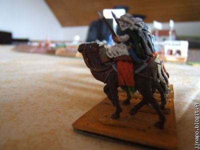 Les chameliers égyptiens : ils ont fait des miracles