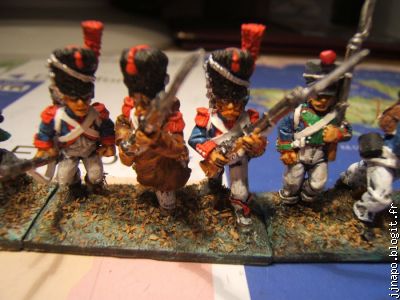 Les grenadiers. Ce sont les plus teigneux