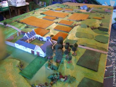 Les champs de blé entre Hougoumont et Plancenoit