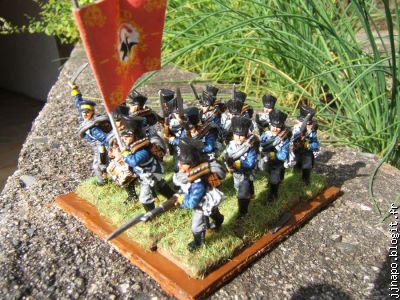 Le drapeau est celui du régiment. Comme d'hab. Merci Napflags